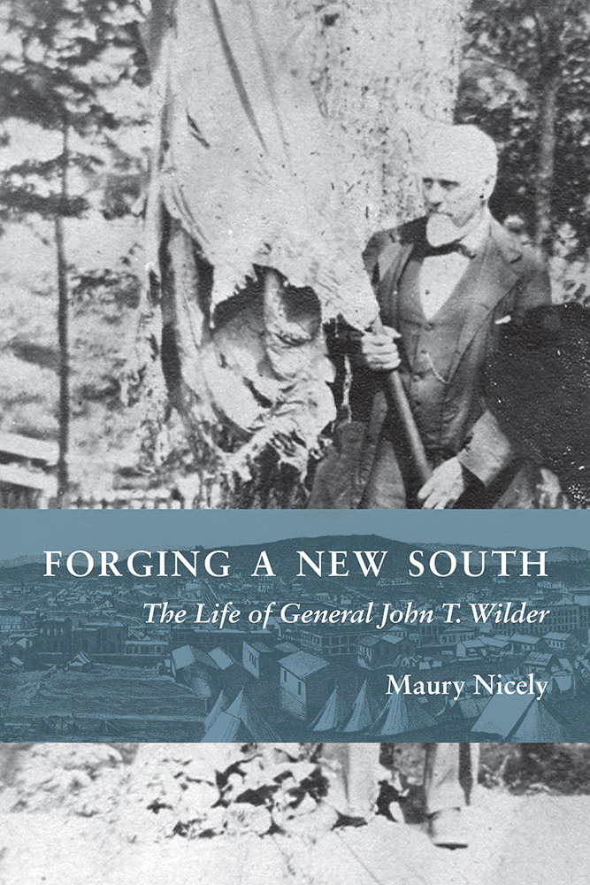 Forging a New South