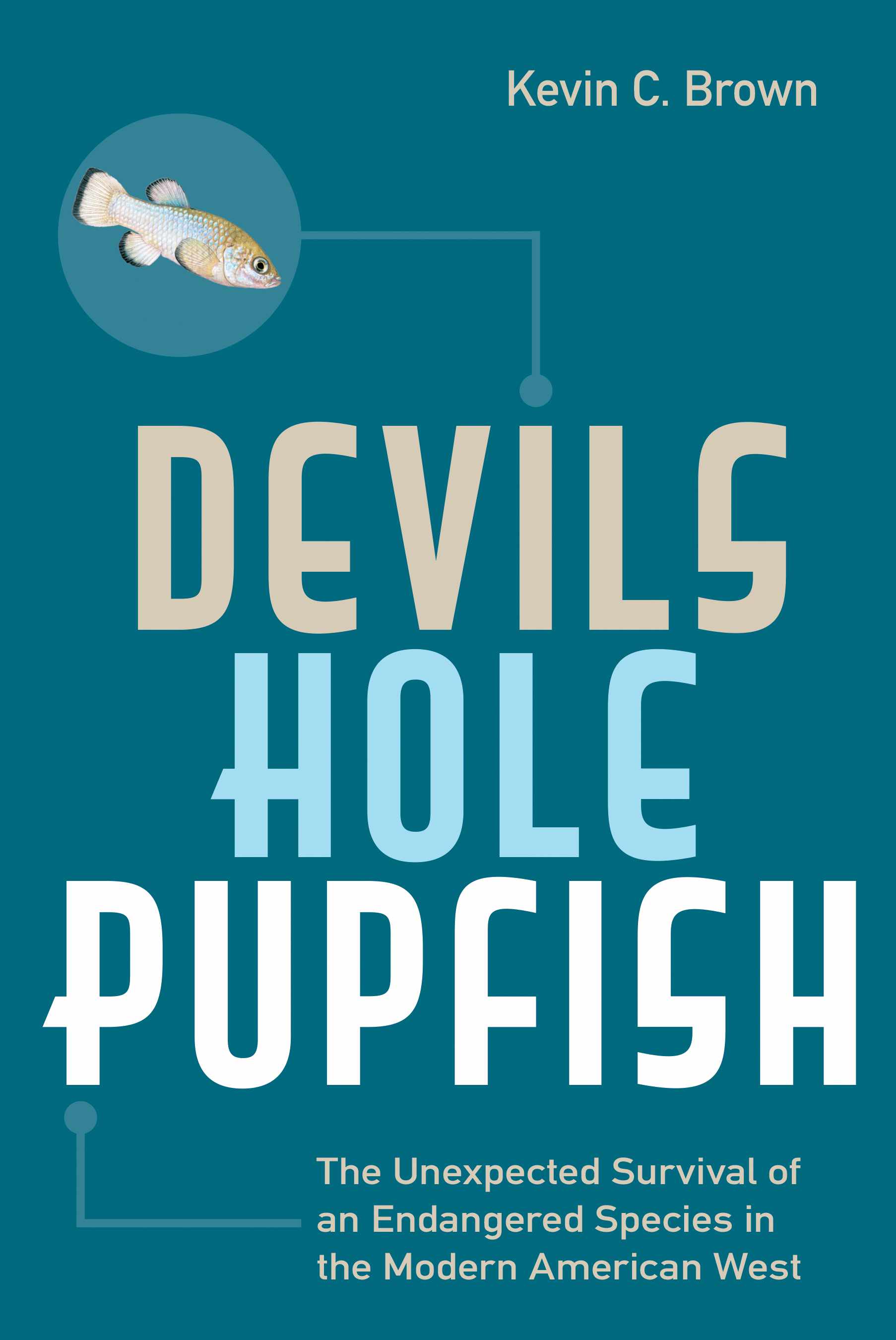 Devils Hole Pupfish