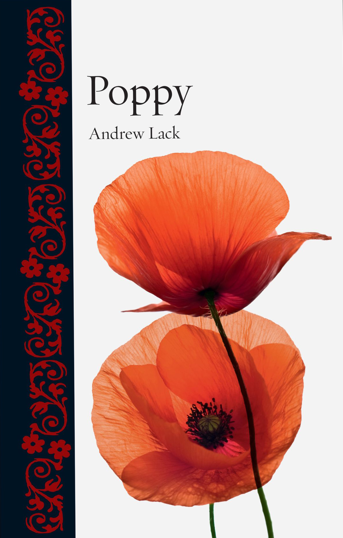 Poppy Updates on Twitter  Poppies, Poppy singer, That poppy