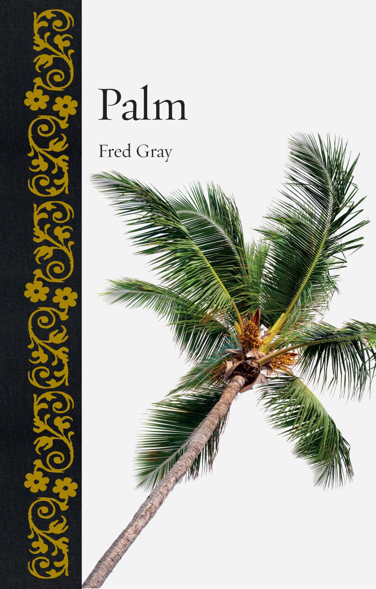 Palm, Gray