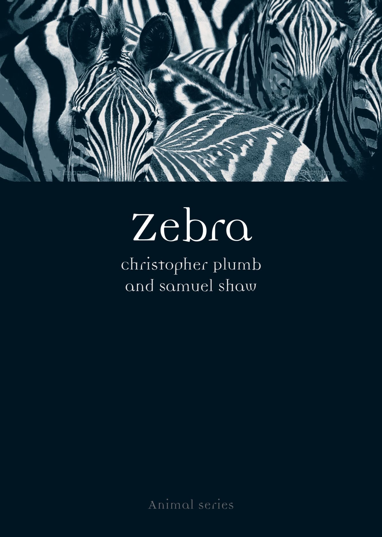 A Striped History – The Story Of The Zebra Crossing