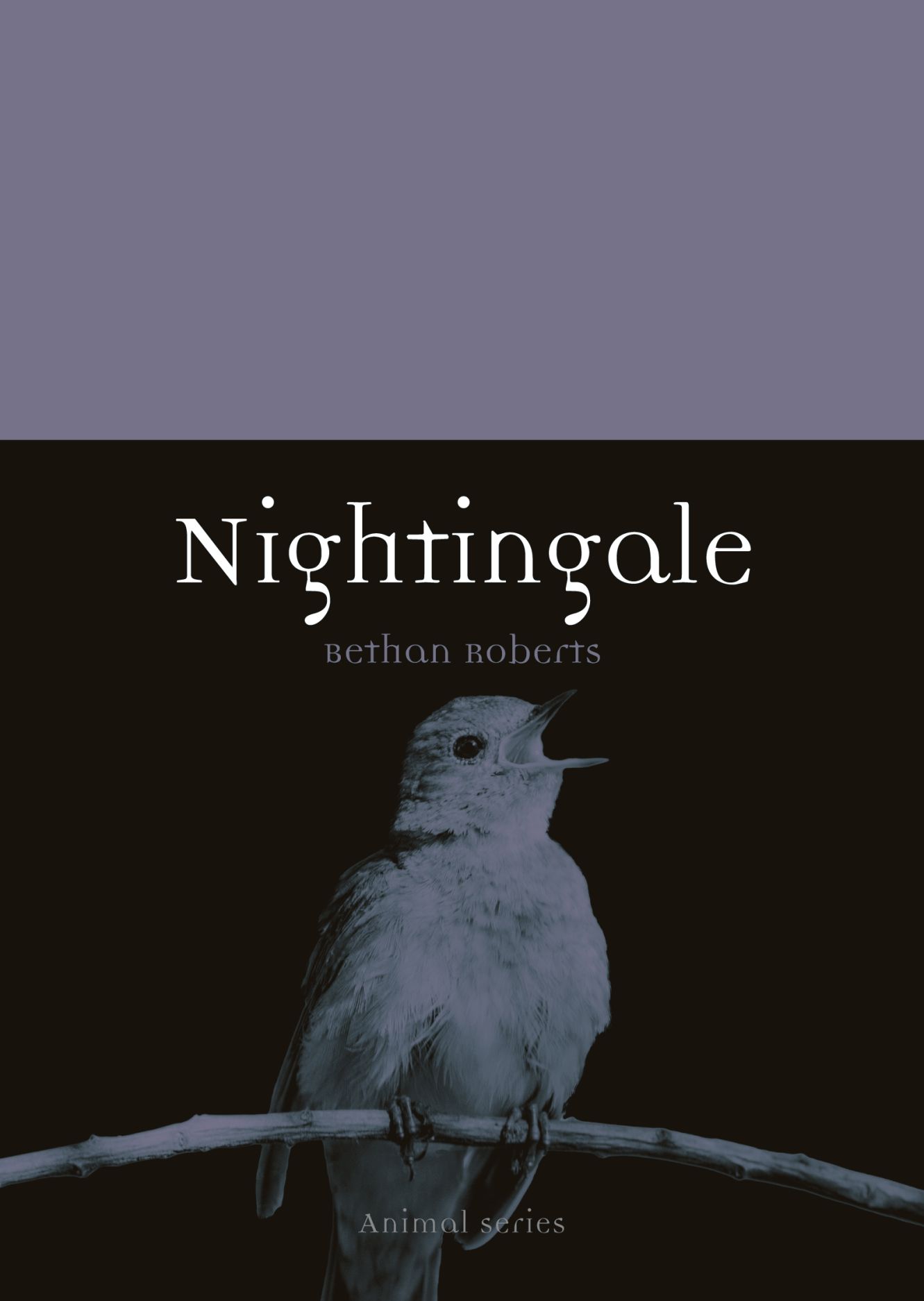 Call The Nightingale Again. - Call The Nightingale Again. Poem by