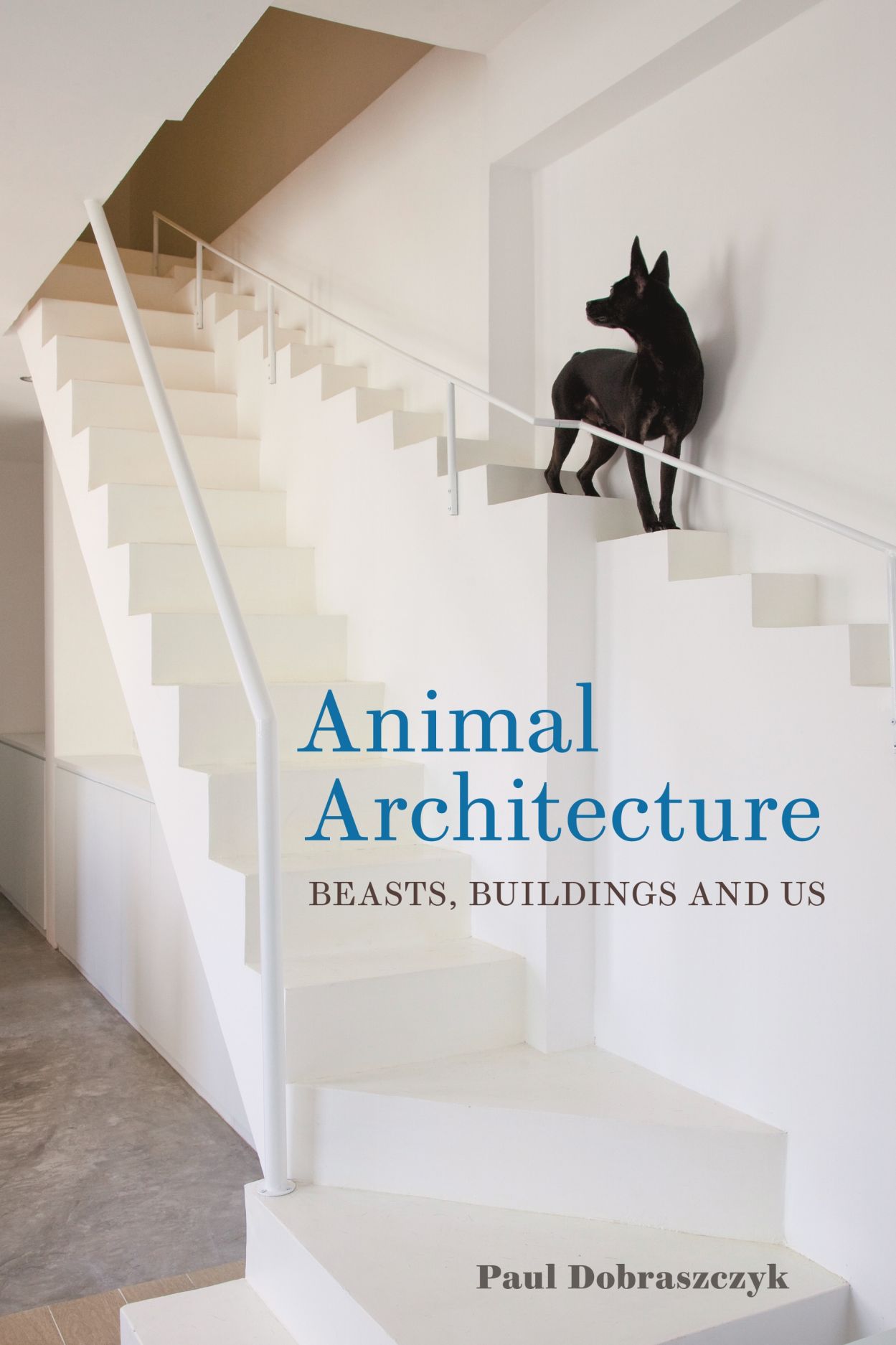 Design Stack: A Blog about Art, Design and Architecture: Animal