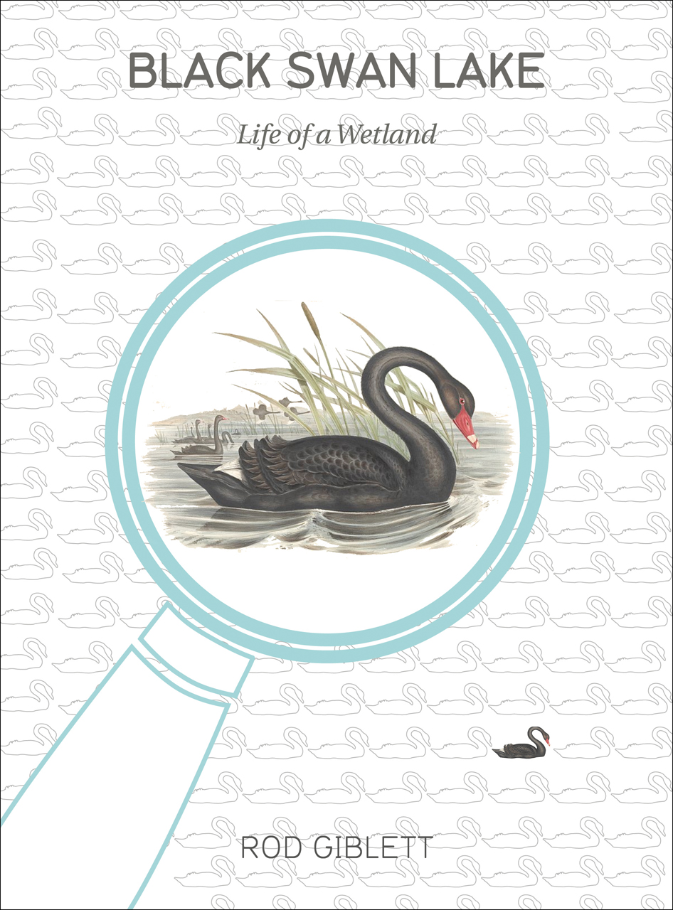 hvorfor ikke forkæle frø Black Swan Lake: Life of a Wetland, Giblett