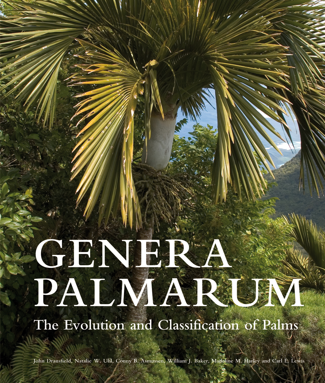Дикие пальмы книга. Книга Пальма. Johnny Palms.