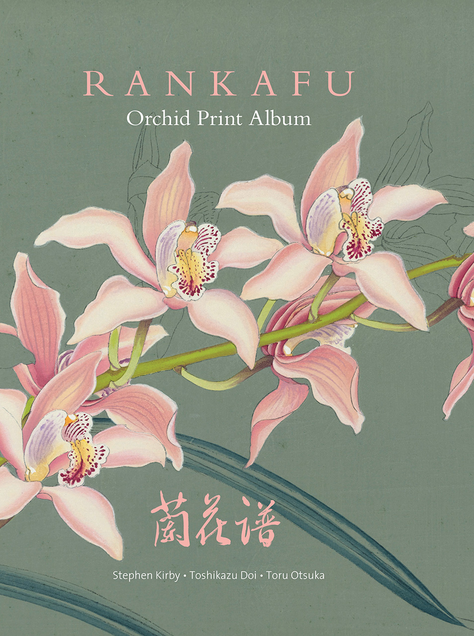 Japanese orchid deals