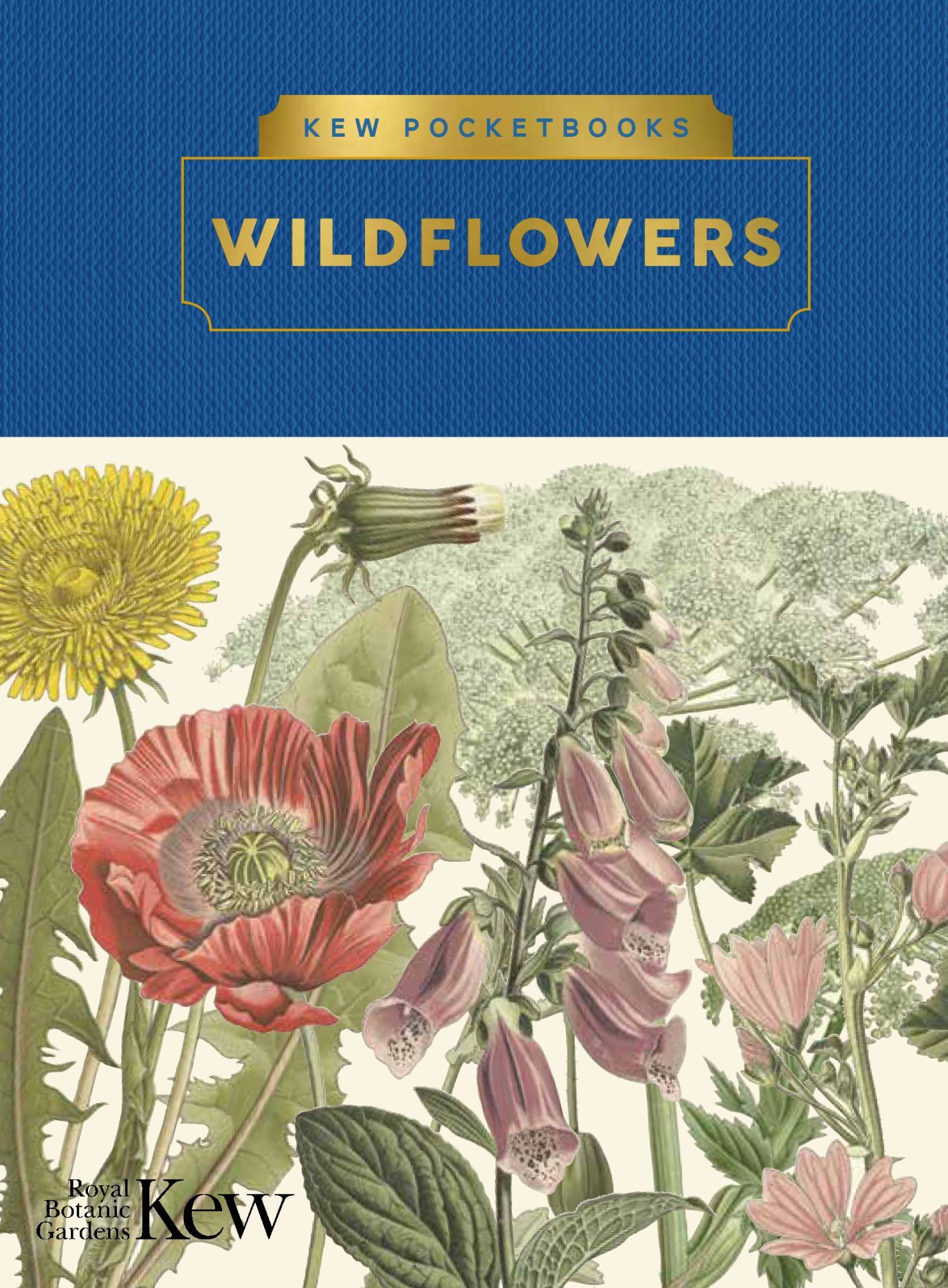 Kew Pocketbooks Wildflowers, Ikin