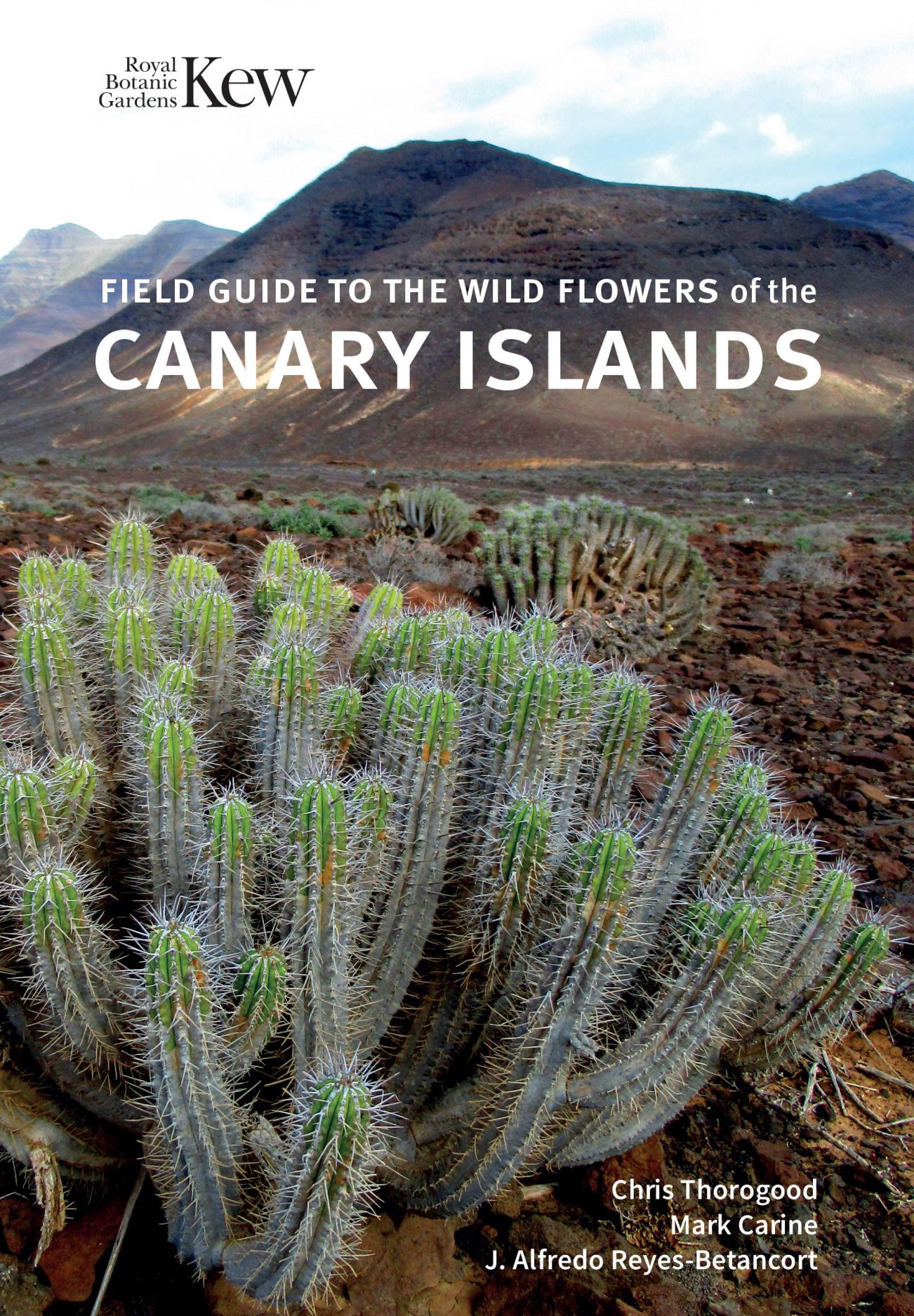 Field Guide to the Wild Flowers of the Canary Islands, Thorogood