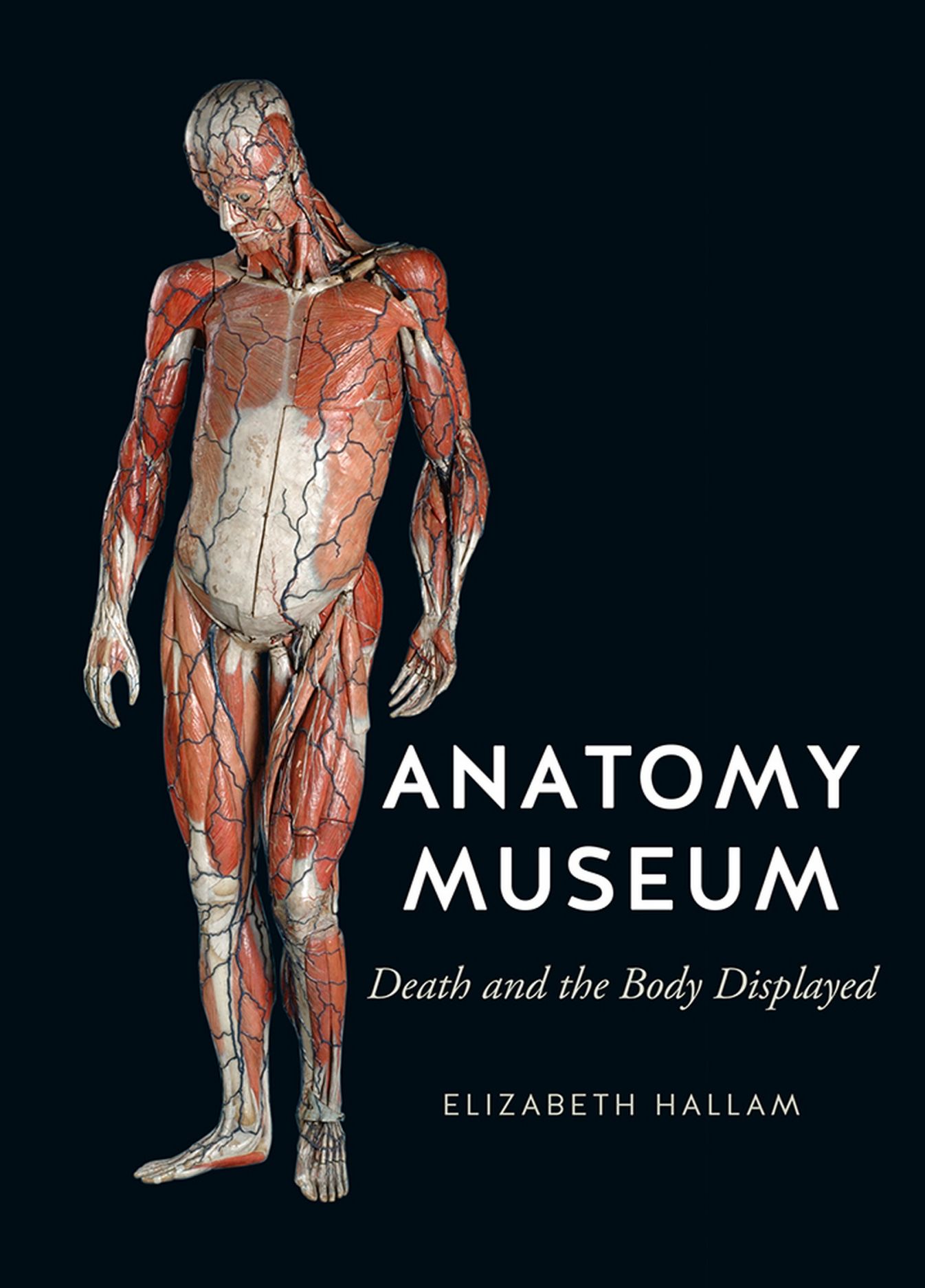 Anatomy Museum: Death and the Body Displayed, Hallam