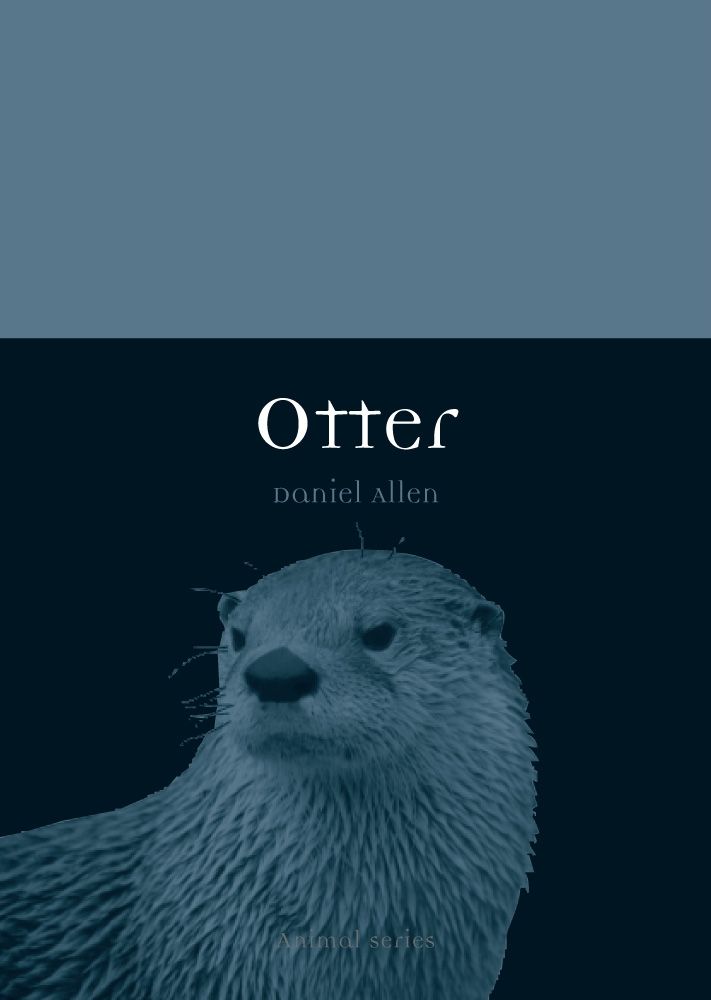 of exam format paper Allen Otter,