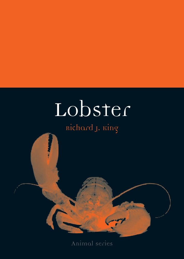 Lobster, King