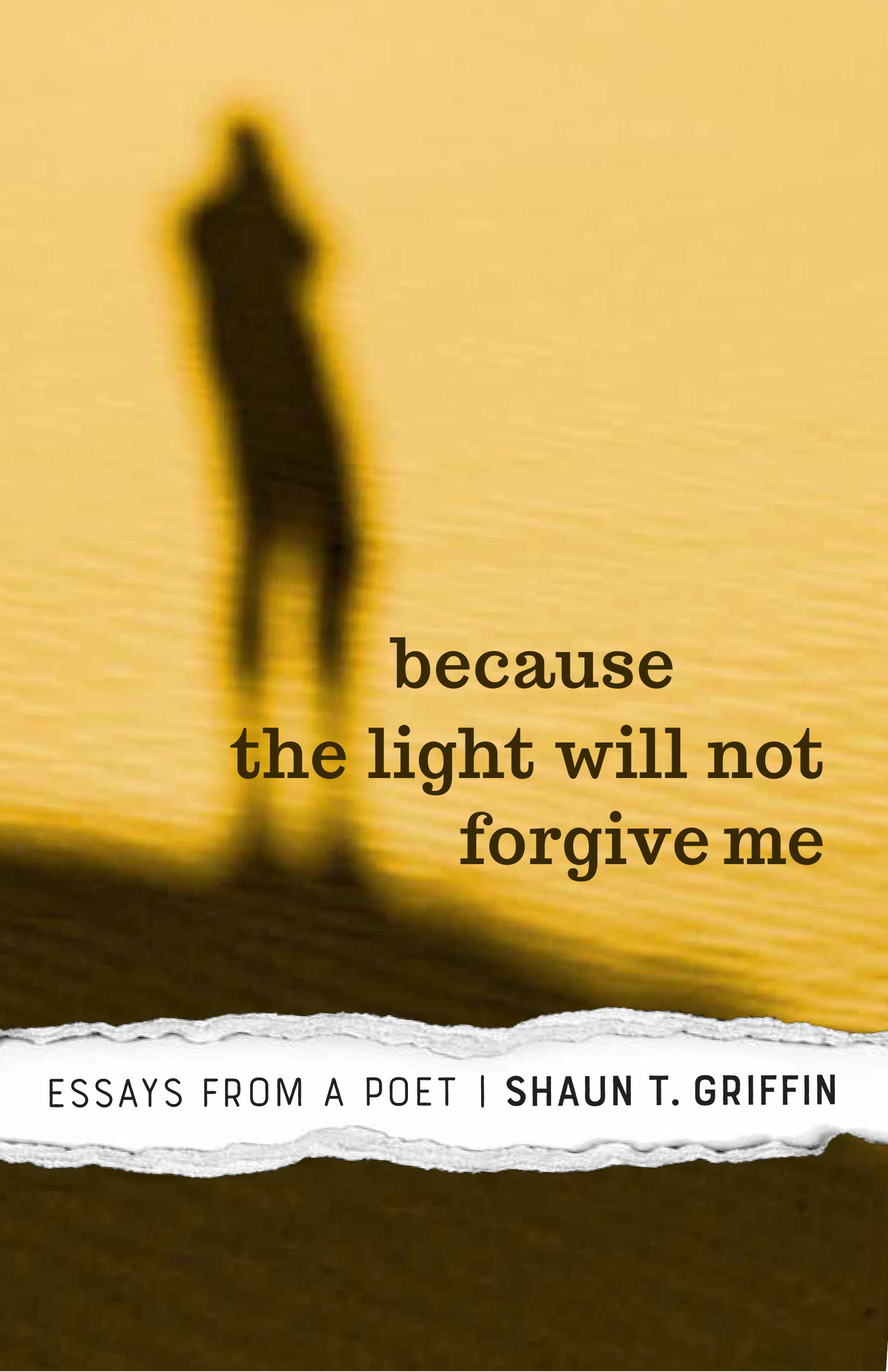 Because the Light Will Not Forgive Me