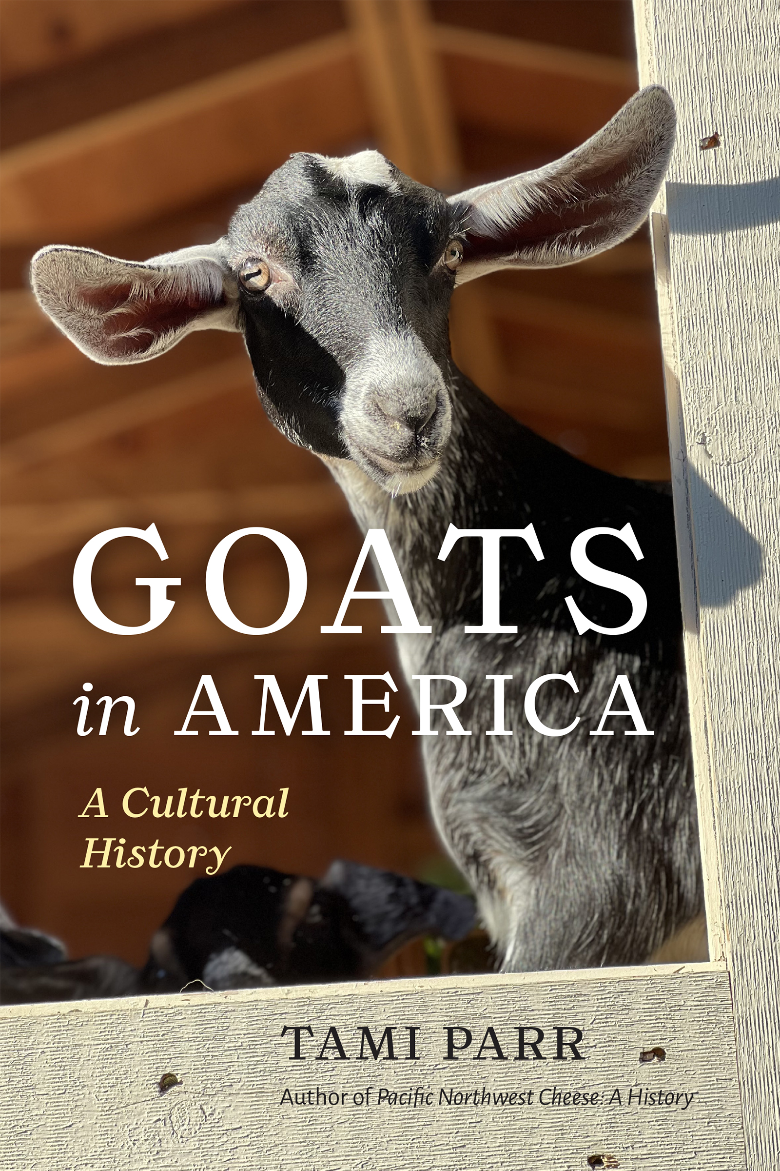 Goats in America
