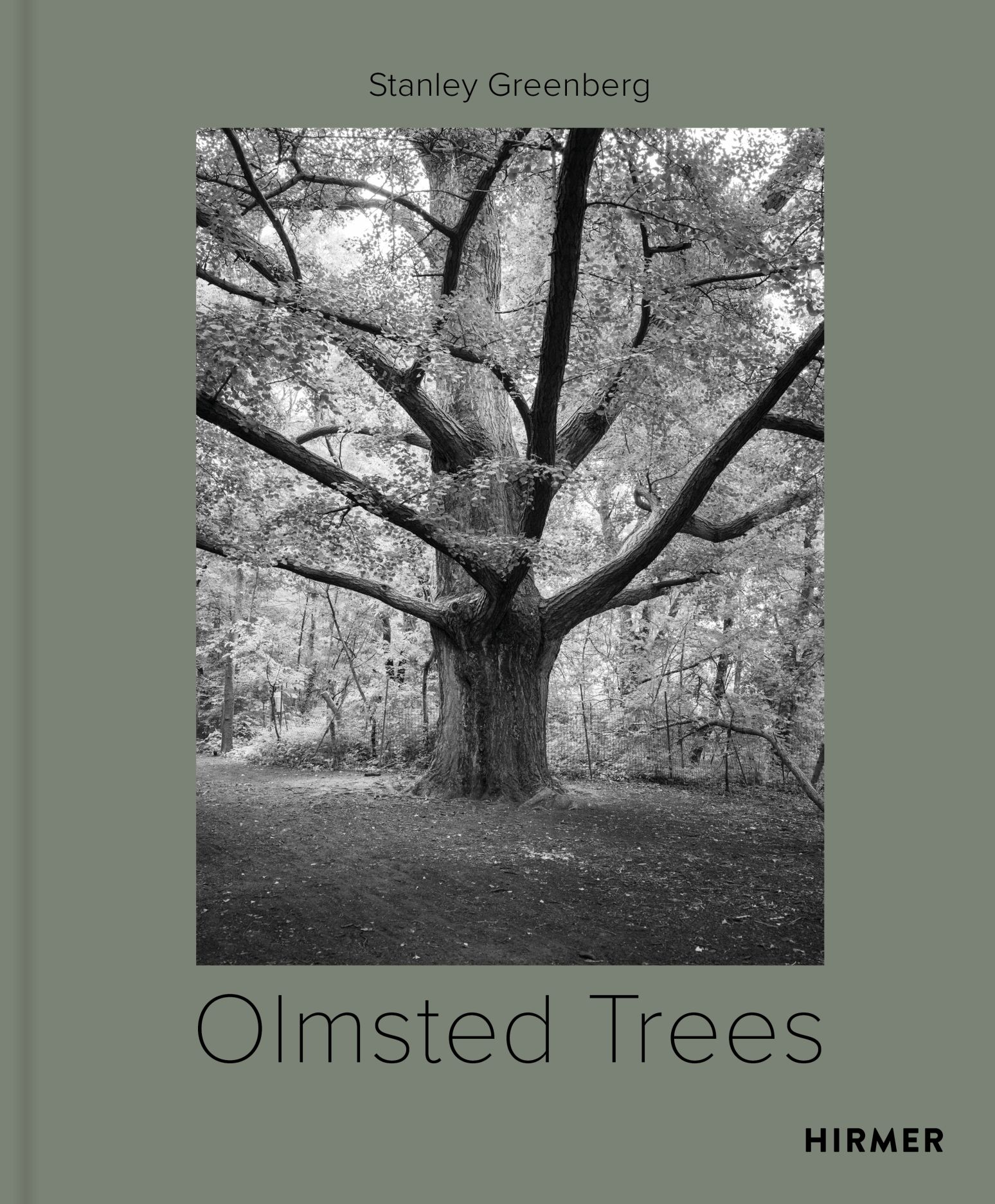 Olmsted Trees: Stanley Greenberg, Avermaete, Baker, Fullilove