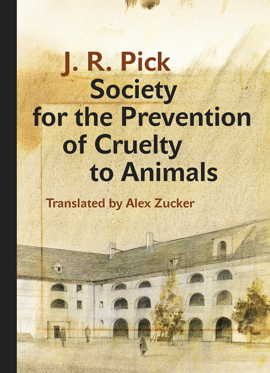 a-detailed-study-of-prevention-of-cruelty-to-animals-act-1960